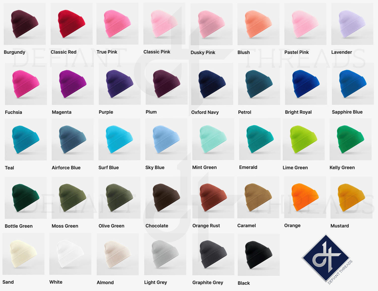 Shining Embroidered Beanie