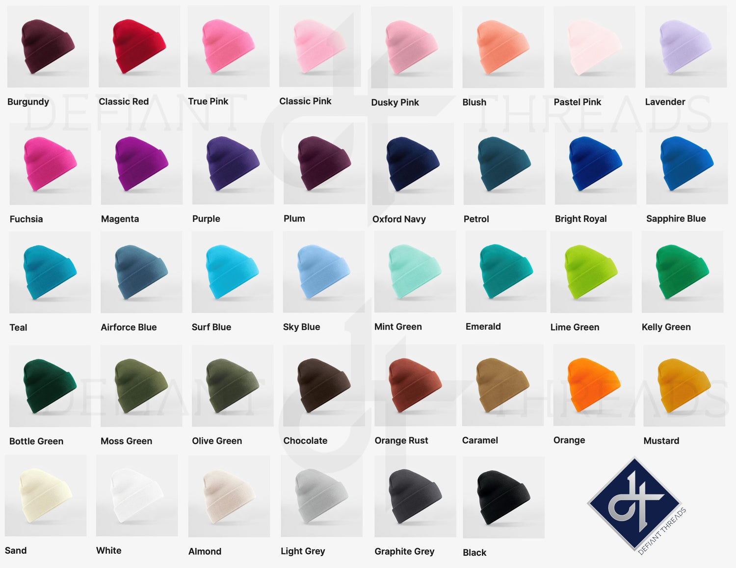 Shining Embroidered Beanie