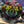 Load image into Gallery viewer, AT Rainbow Damask Circle Bag