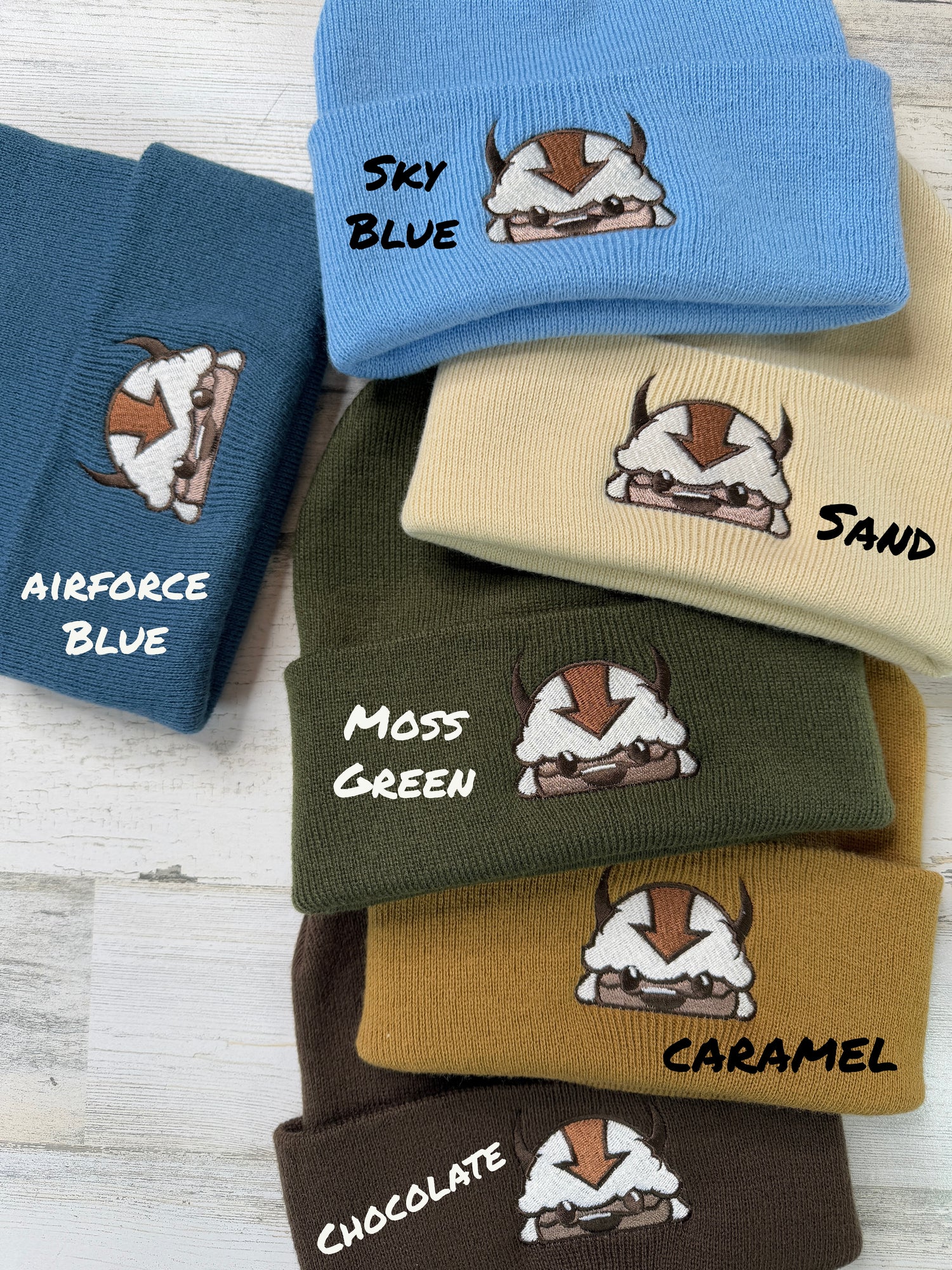 Sky Bison Embroidered Beanie