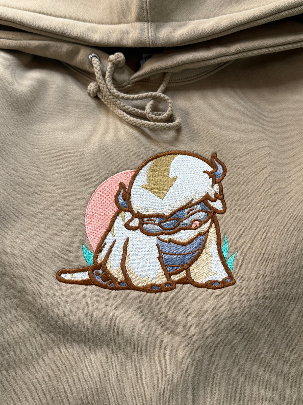 Sky Bison Embroidered Sweatshirt