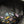 Load image into Gallery viewer, Evolutions Backpack