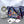 Load image into Gallery viewer, Wonderland Handbag