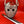 Load image into Gallery viewer, Jason Crossbody Bag - Bloody Version