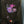 Load image into Gallery viewer, Ghouls Night Out Hoodie / Sweatshirt
